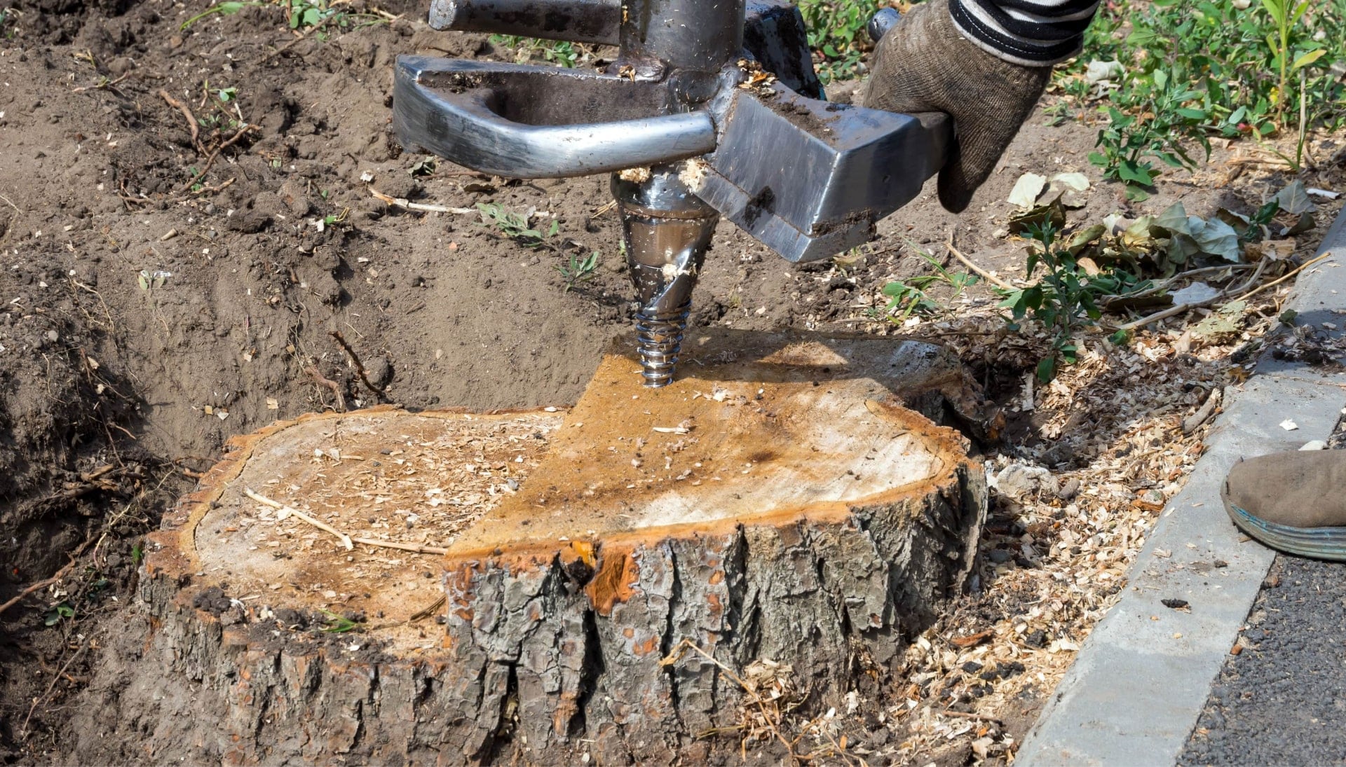 Grand Rapids Tree stump removal